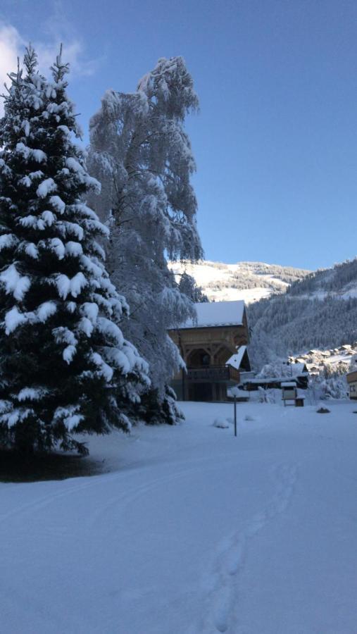 La Montagne « Un Coin D'Oxygene » Lägenhet Châtel Exteriör bild
